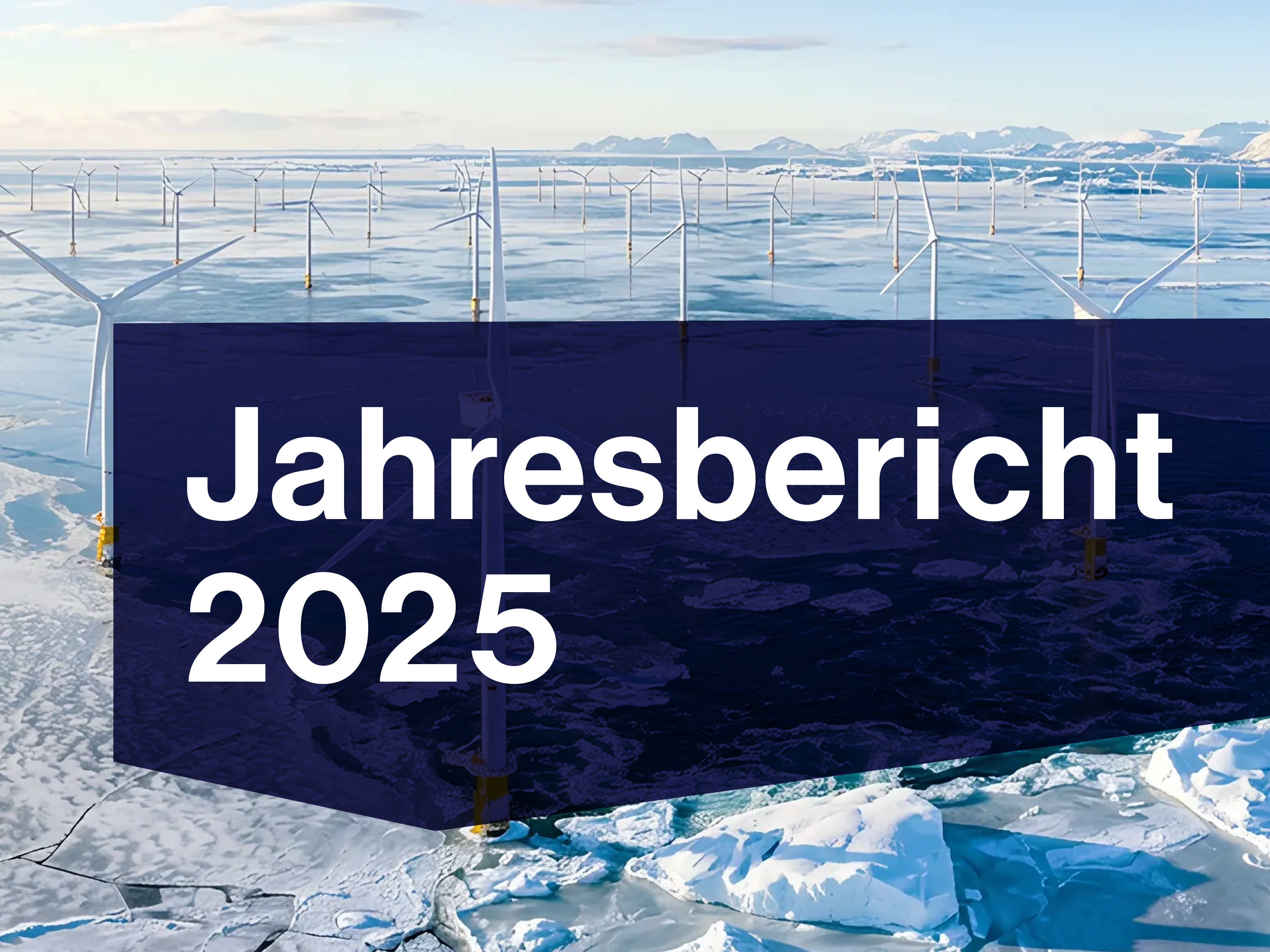Preview Jahresbericht 2025
