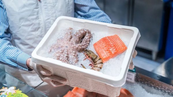 SVTL, Fischtransport: Transgourmet ersetzt Styropor- durch Holzfaserbox